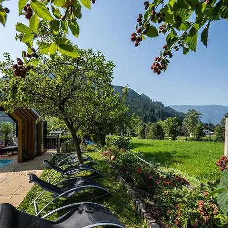 酒店 Genusshotel Almrausch 巴德小基希海姆